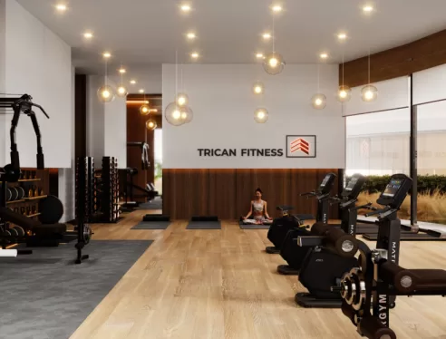 trican-gym9-